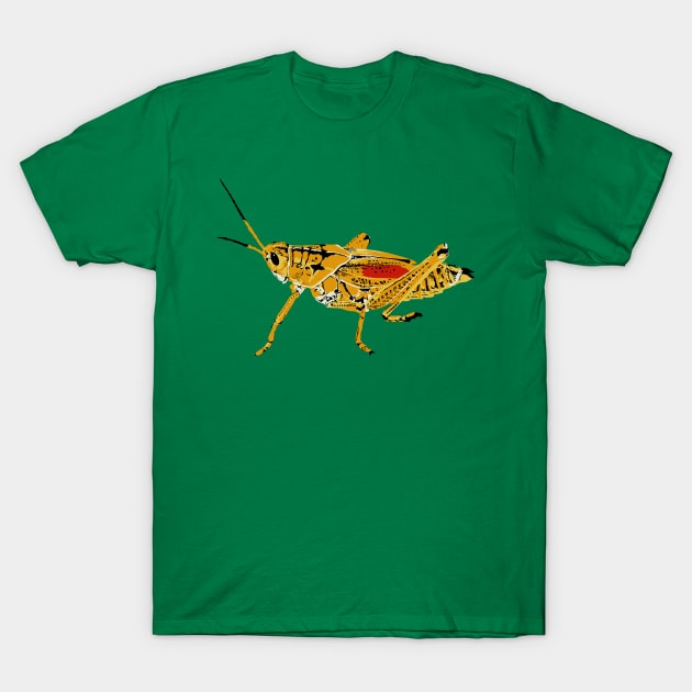 Eastern Lubber Grasshopper T-Shirt by stargatedalek